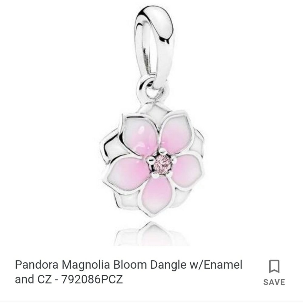 Pandora clips and dangle charm